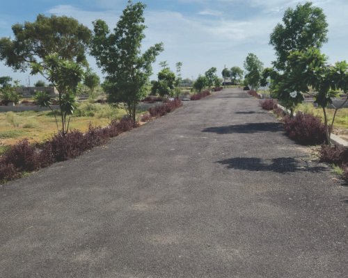 Plot Road View 3